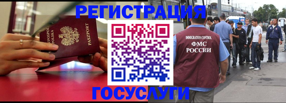 прописка поиск в Михайловке